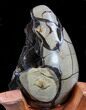 Septarian Dragon Egg Geode - Black Calcite Crystals #33987-4